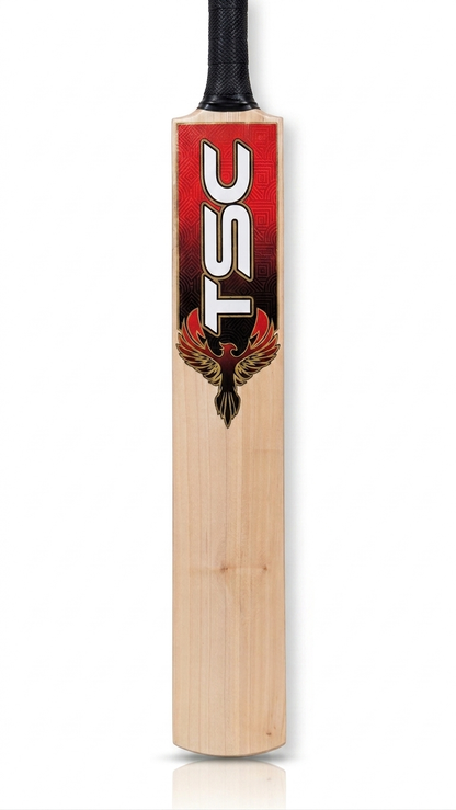 Cricket Bats | TSC | Phoenix Red | Best Cricket Bats Speed and Swings